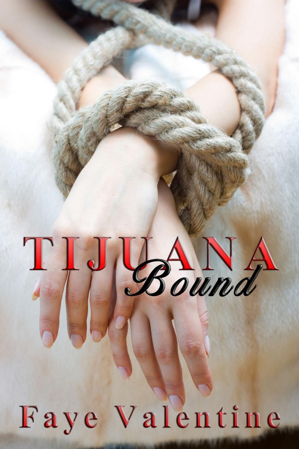 Big bigCover of Tijuana Bound