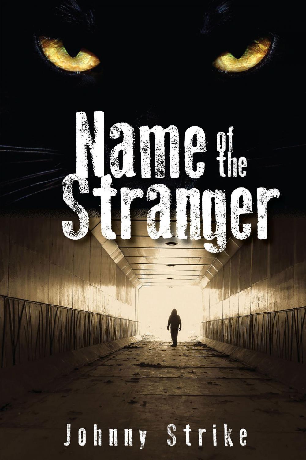 Big bigCover of Name of the Stranger