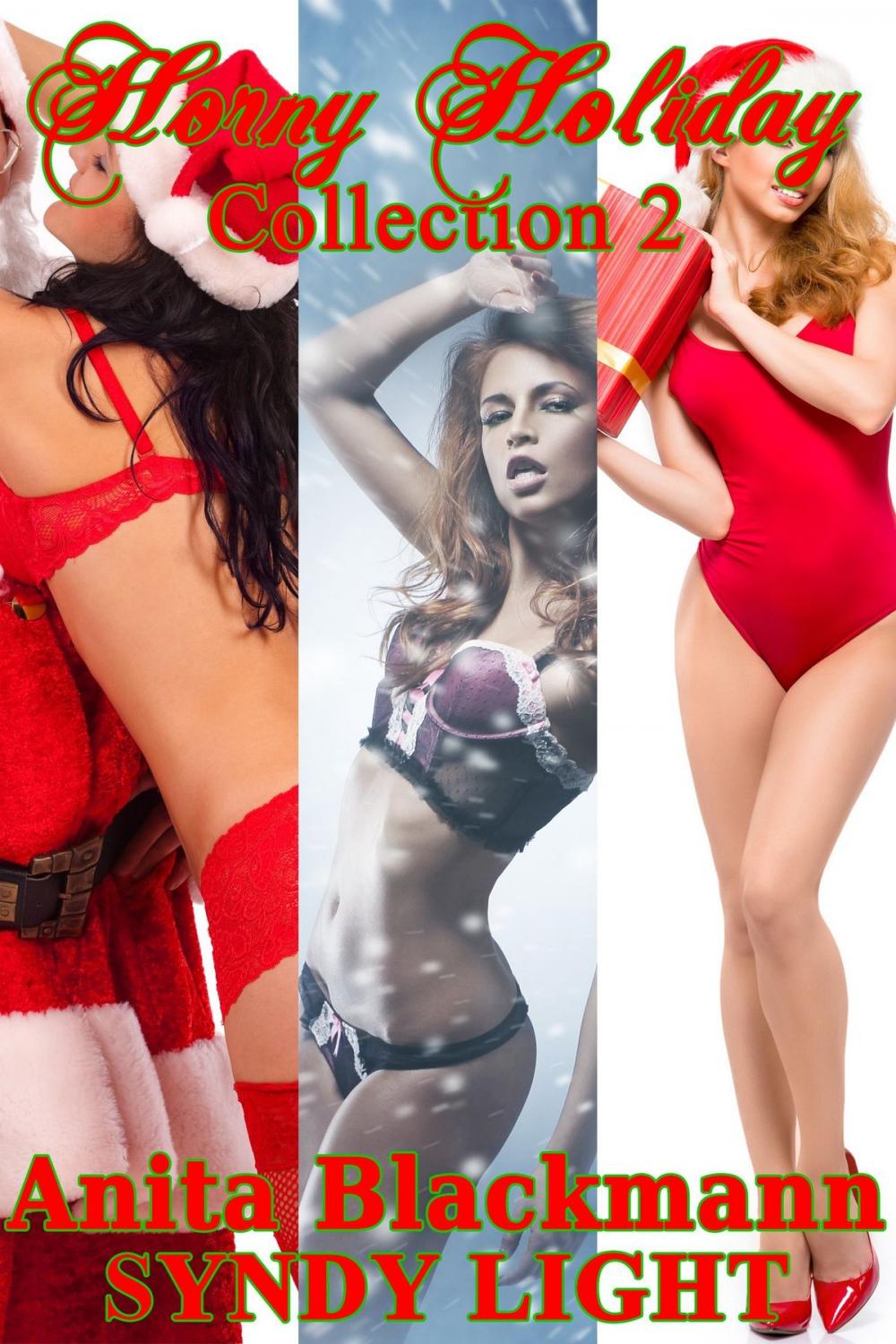 Big bigCover of Horny Holiday Collection 2