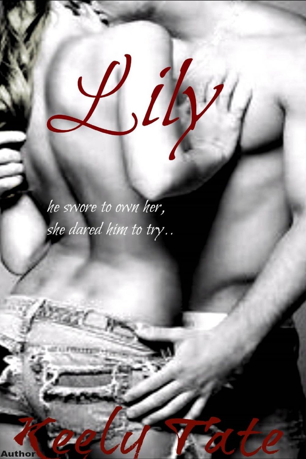 Big bigCover of Lily: The Brothers(Book 2)