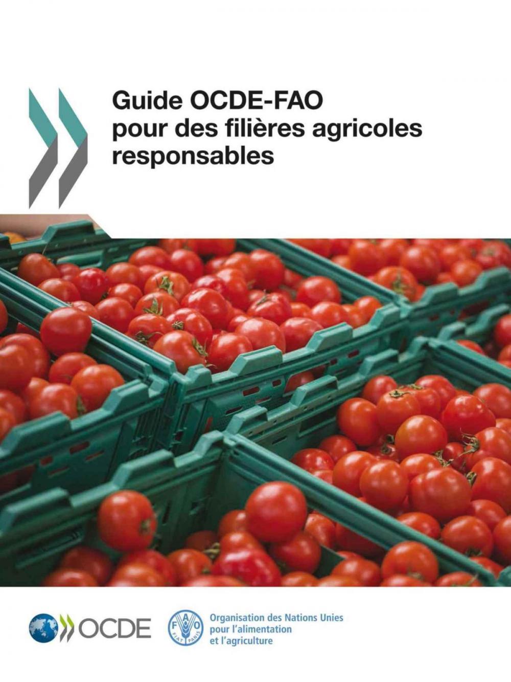 Big bigCover of Guide OCDE-FAO pour des filières agricoles responsables