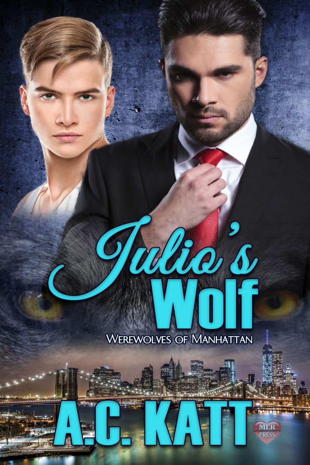 Big bigCover of Julio's Wolf