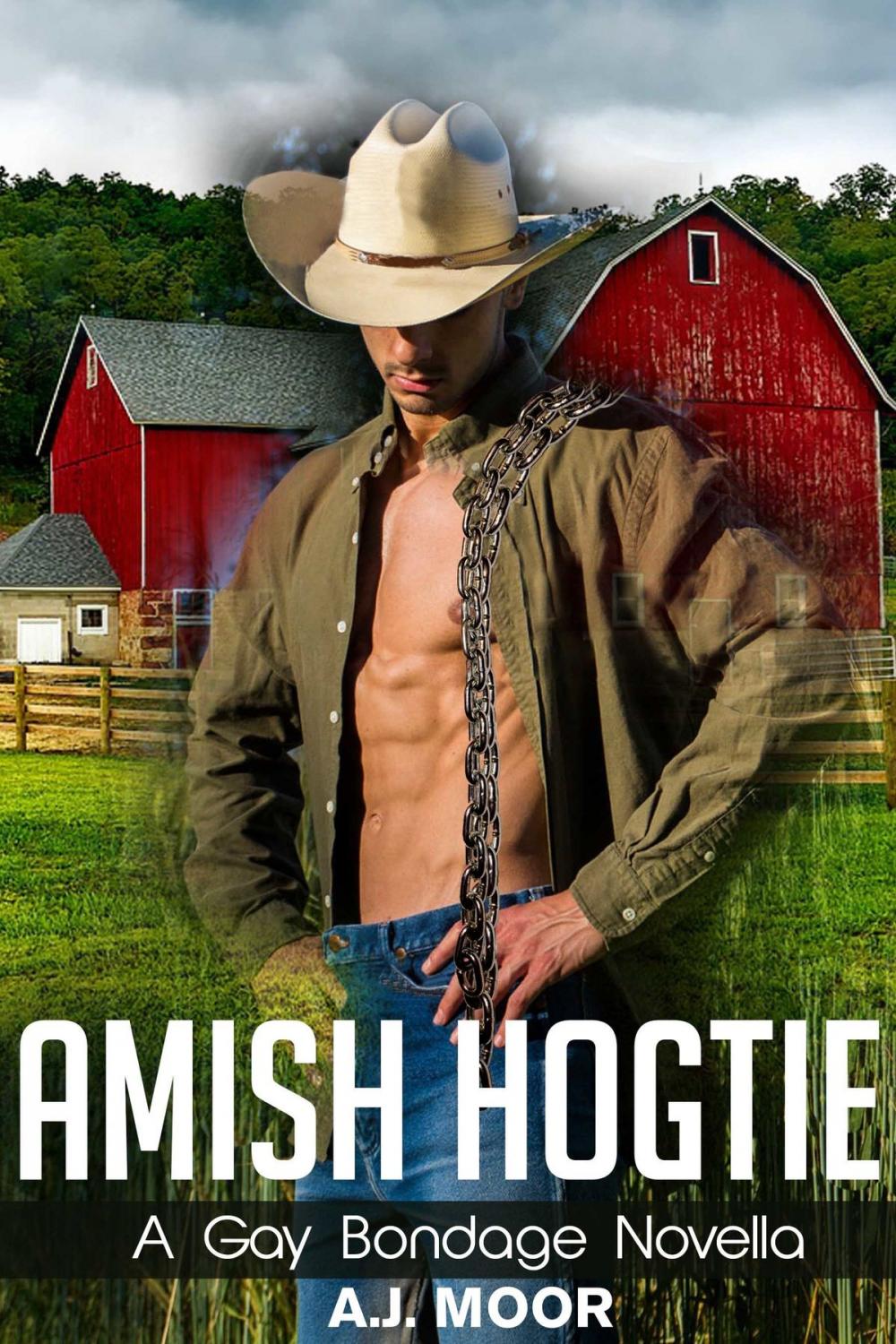 Big bigCover of Amish Hogtie: A Gay Bondage Novella