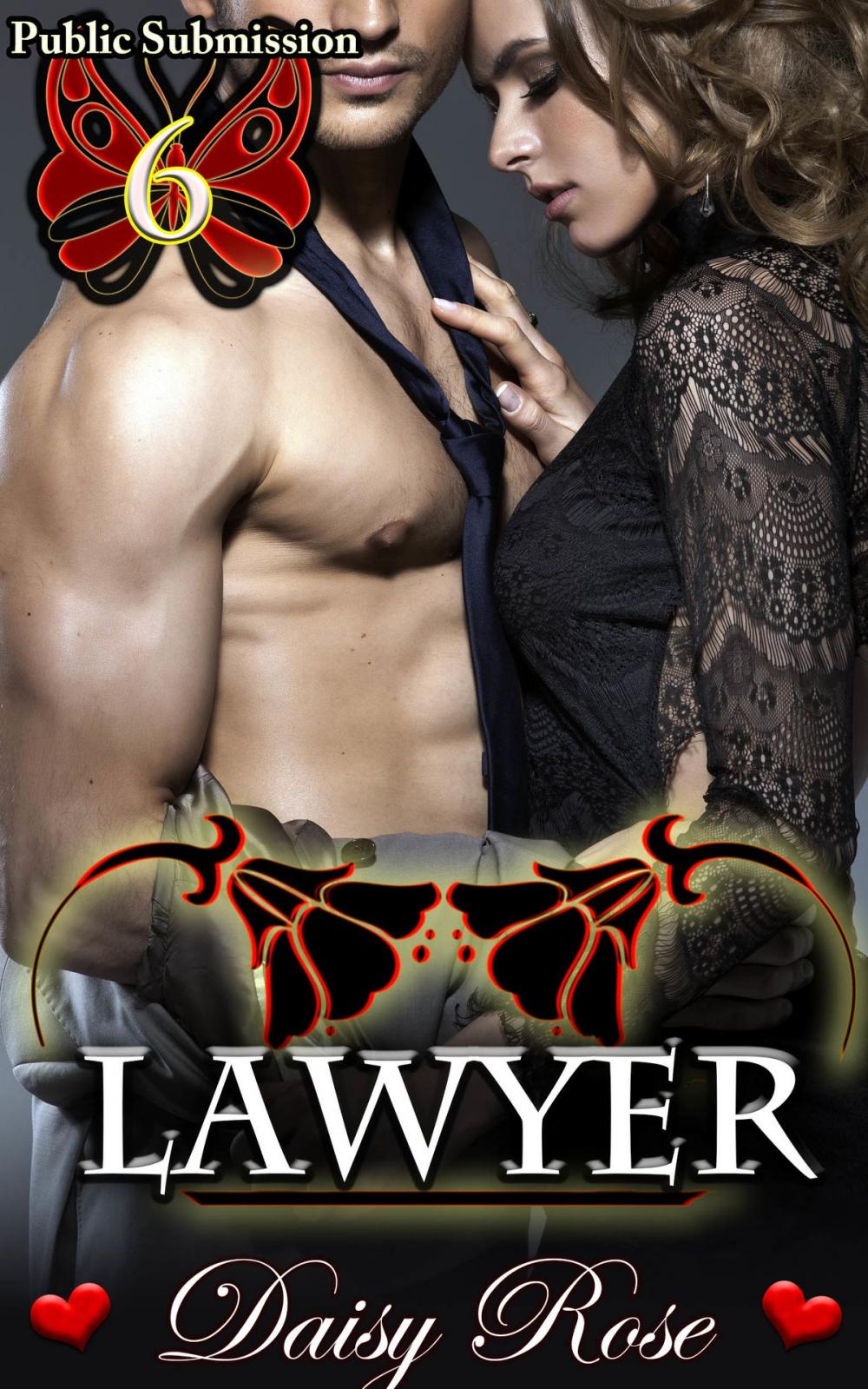 Big bigCover of Public Submission 6: Lawyer