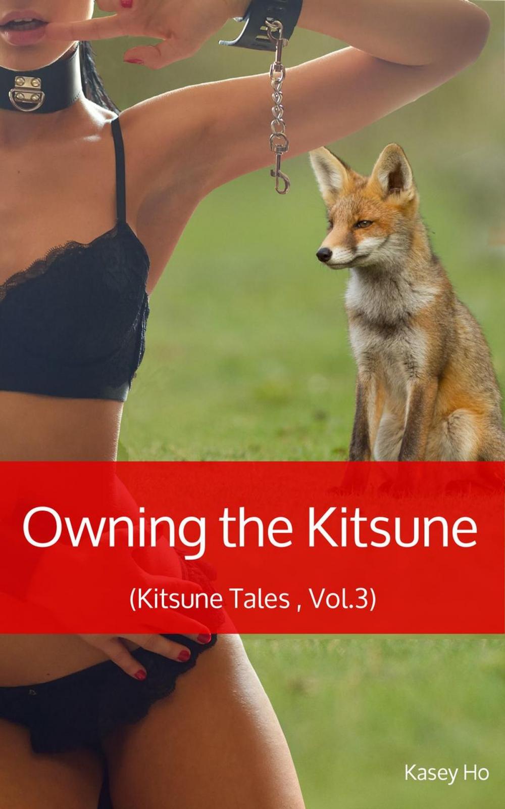 Big bigCover of Owning the Kitsune