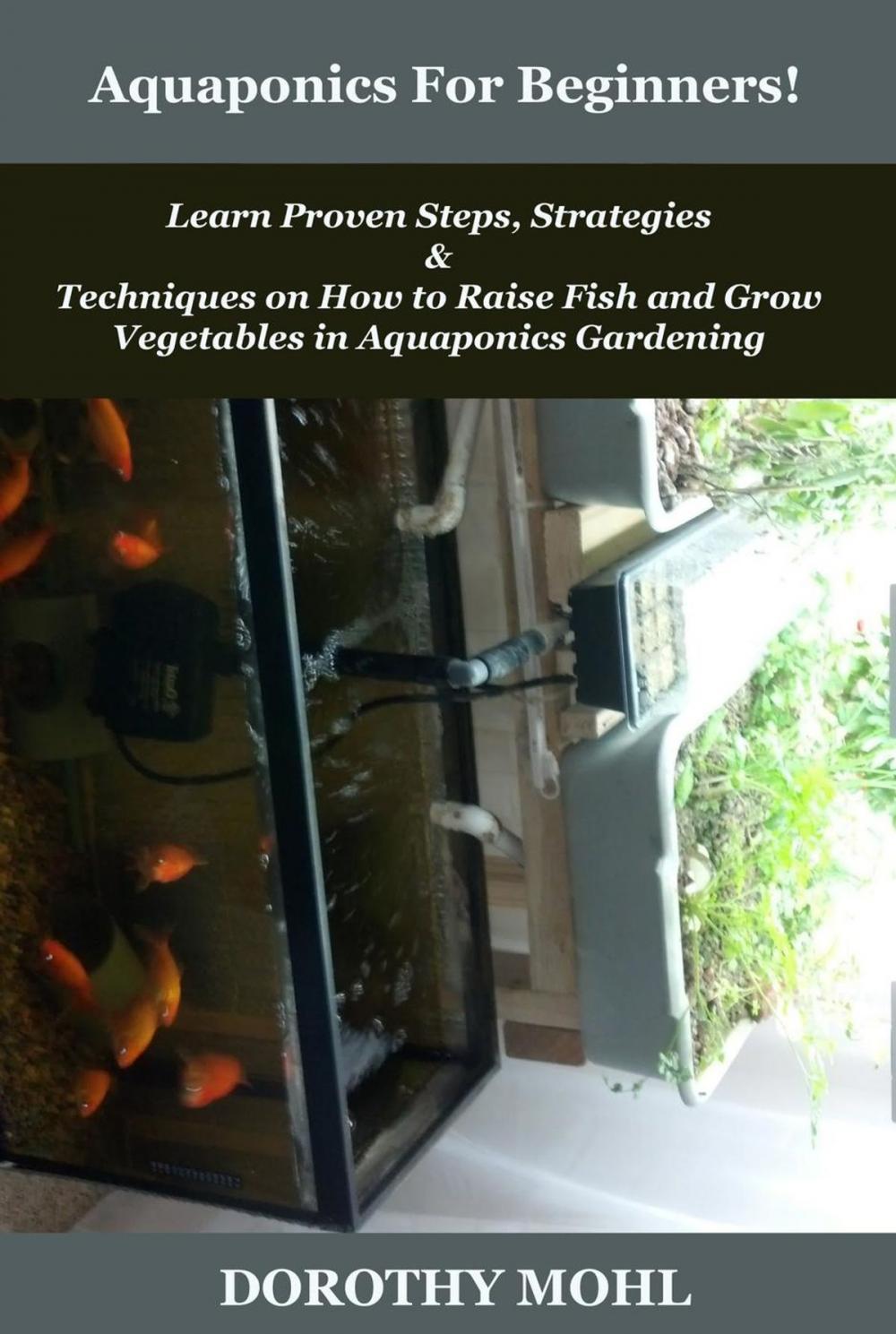 Big bigCover of Aquaponics For Beginners!