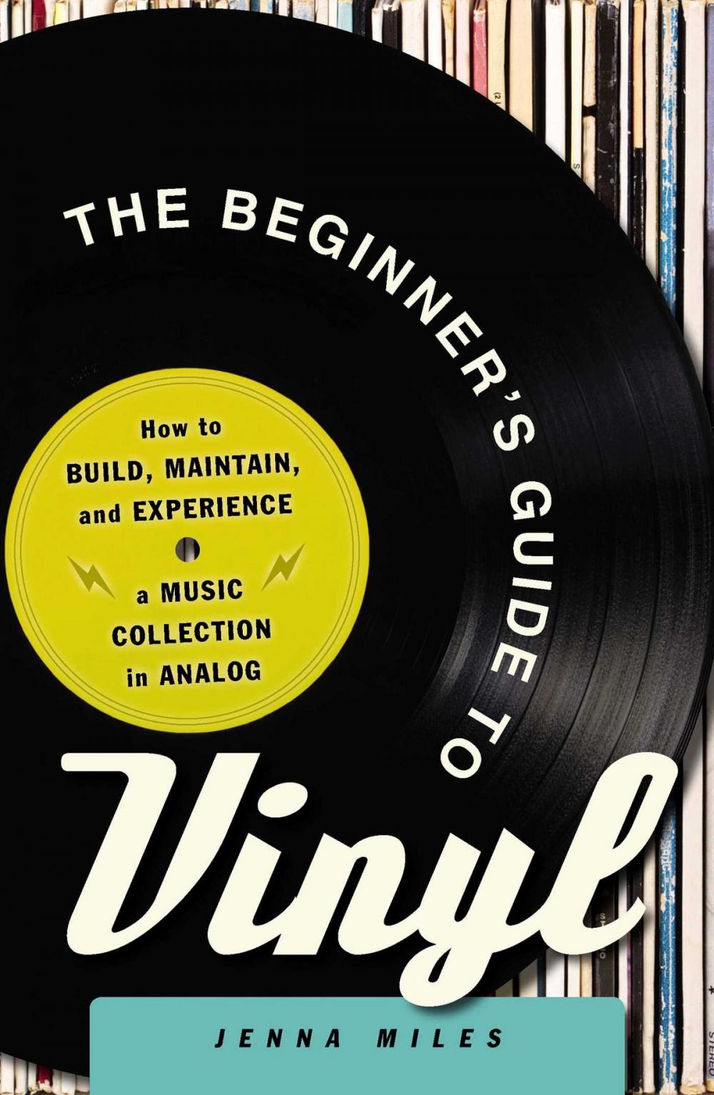 Big bigCover of The Beginner's Guide to Vinyl