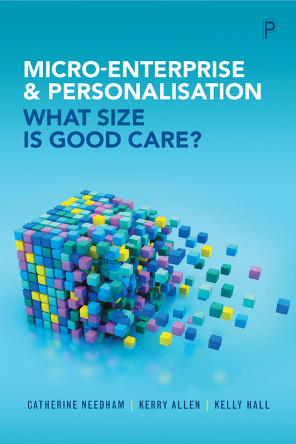 Big bigCover of Micro-enterprise and personalisation