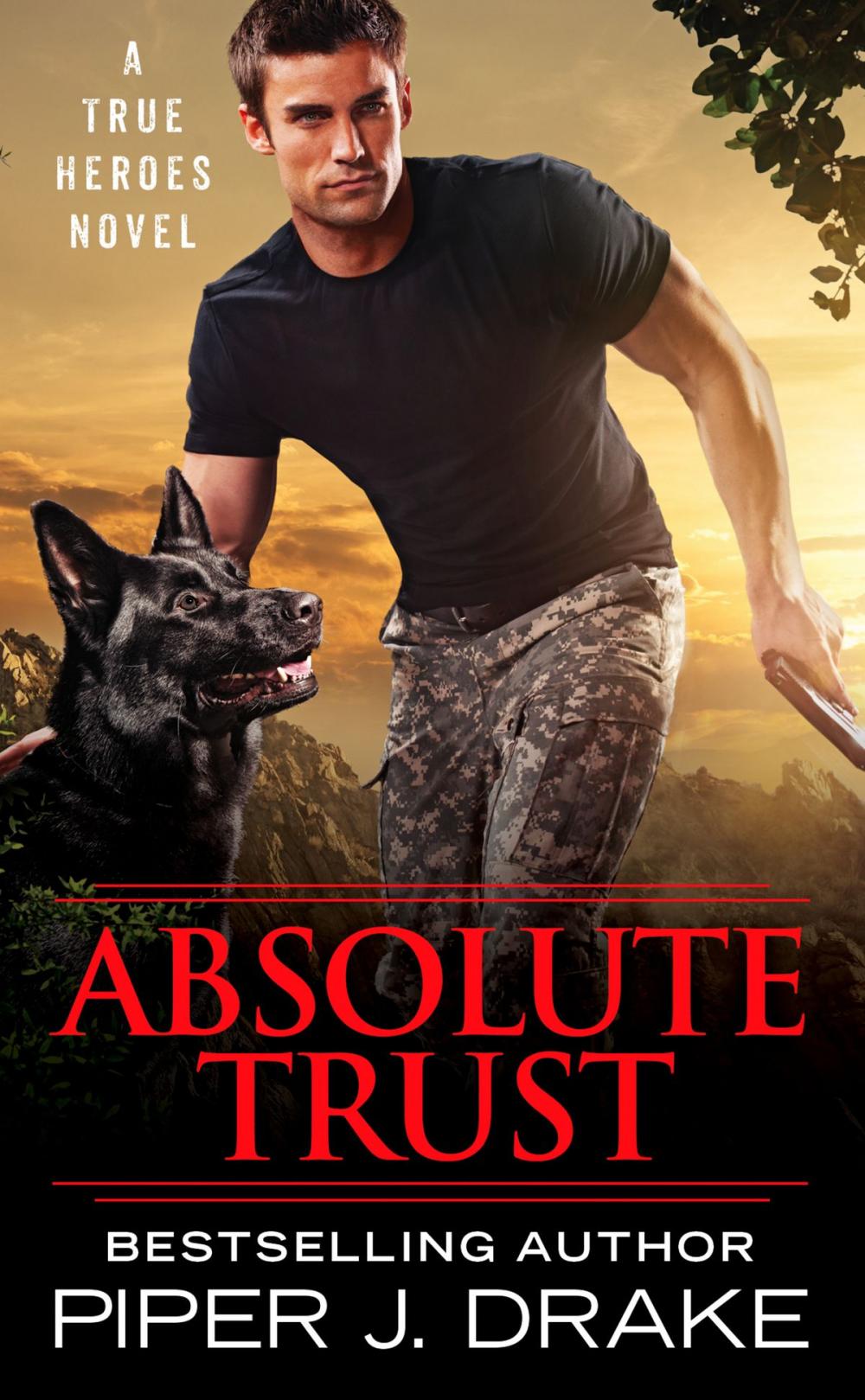 Big bigCover of Absolute Trust