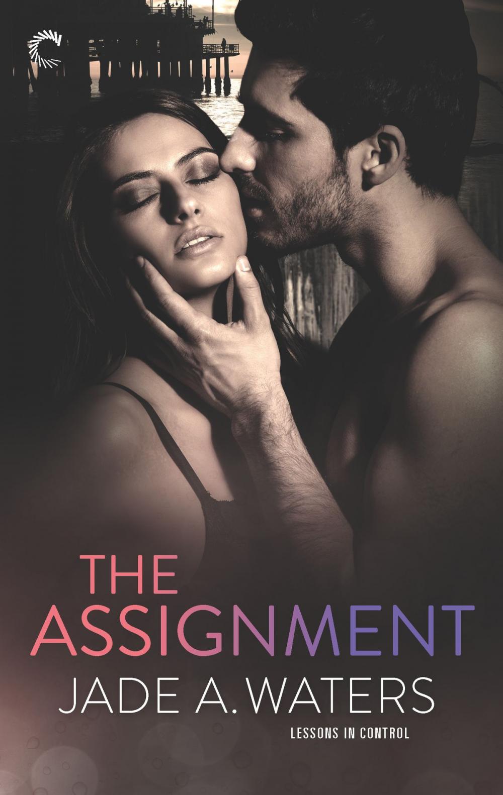 Big bigCover of The Assignment