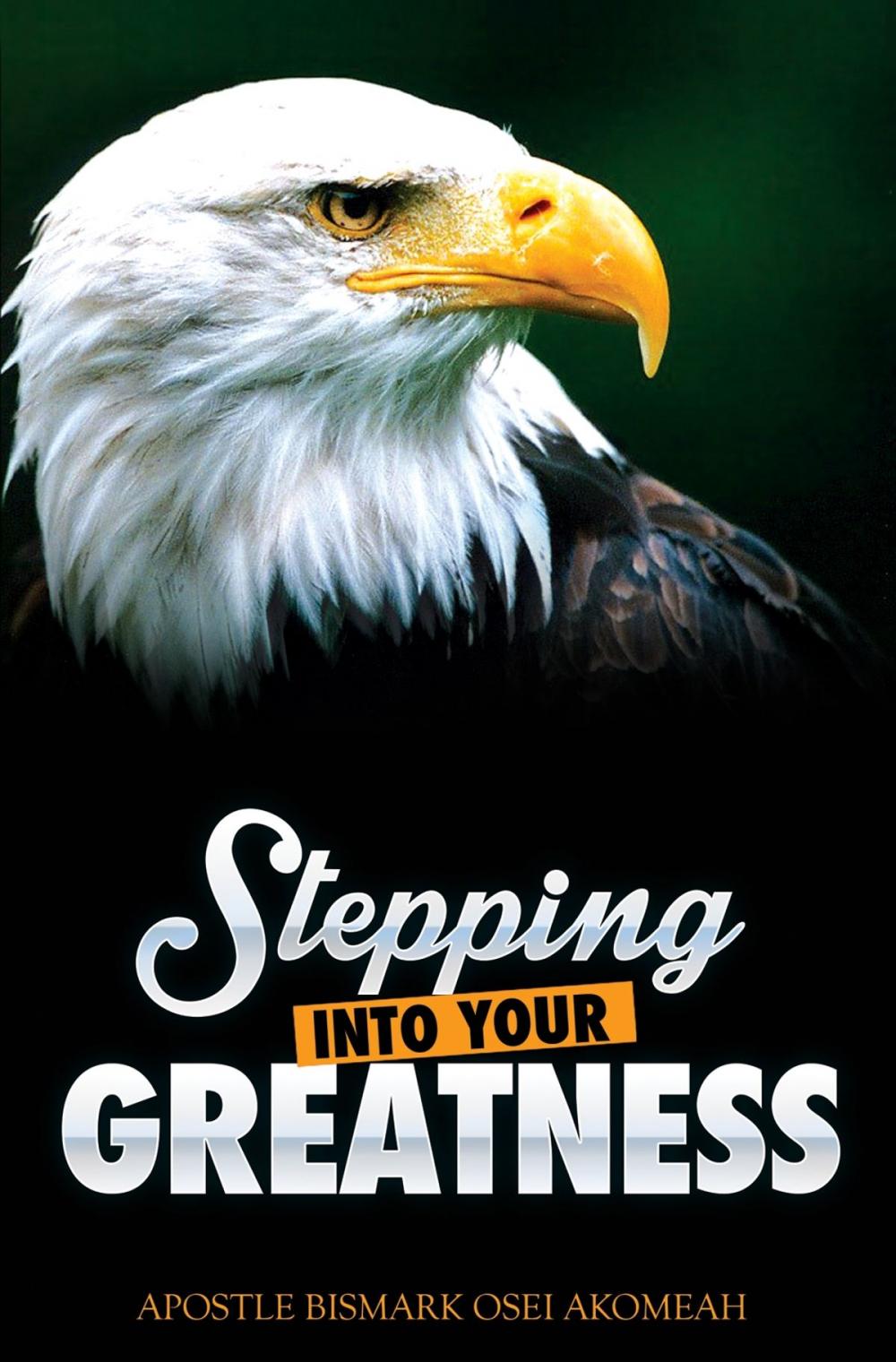 Big bigCover of Stepping Into Your Greatness