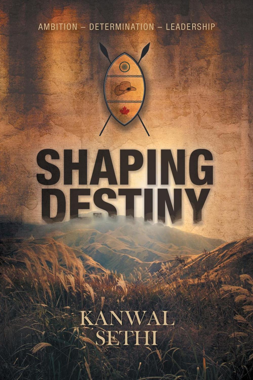 Big bigCover of Shaping Destiny