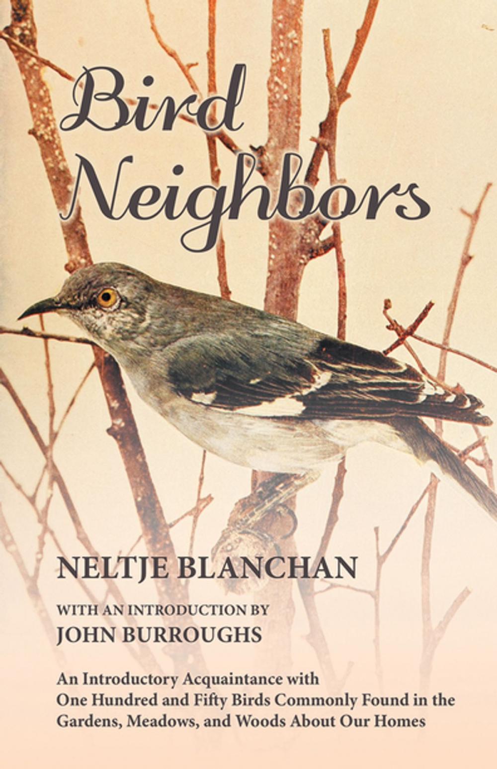 Big bigCover of Bird Neighbors - An Introductory Acquaintance with One Hundred and Fifty Birds Commonly Found in the Gardens, Meadows, and Woods About Our Homes