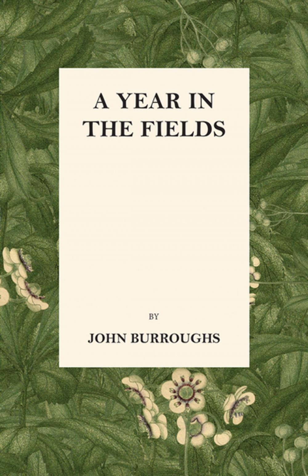 Big bigCover of A Year in the Fields