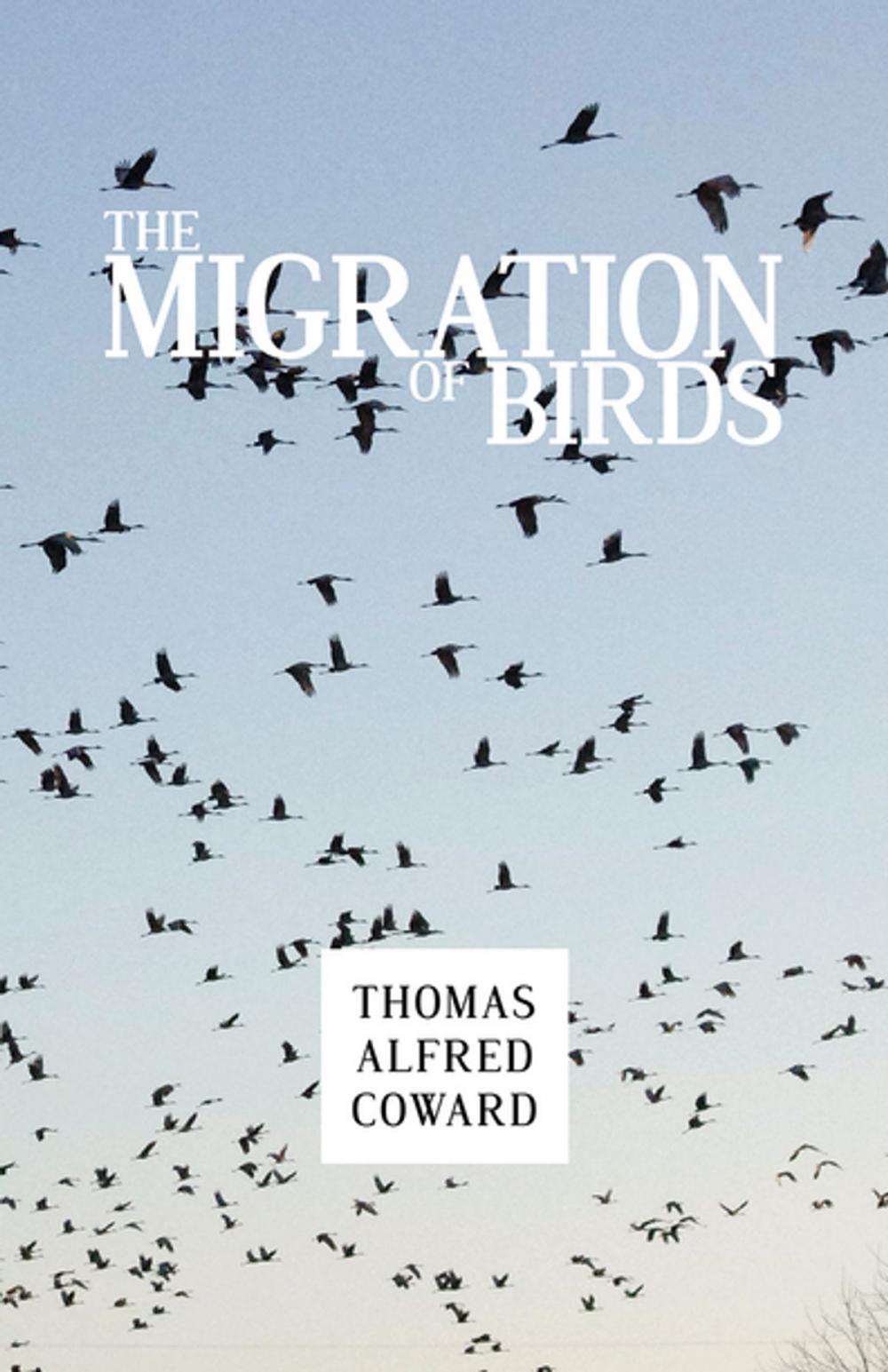 Big bigCover of The Migration of Birds