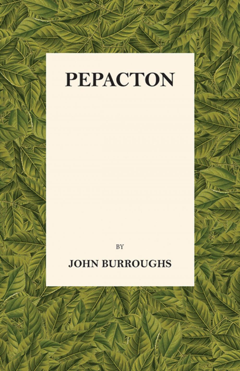 Big bigCover of Pepacton