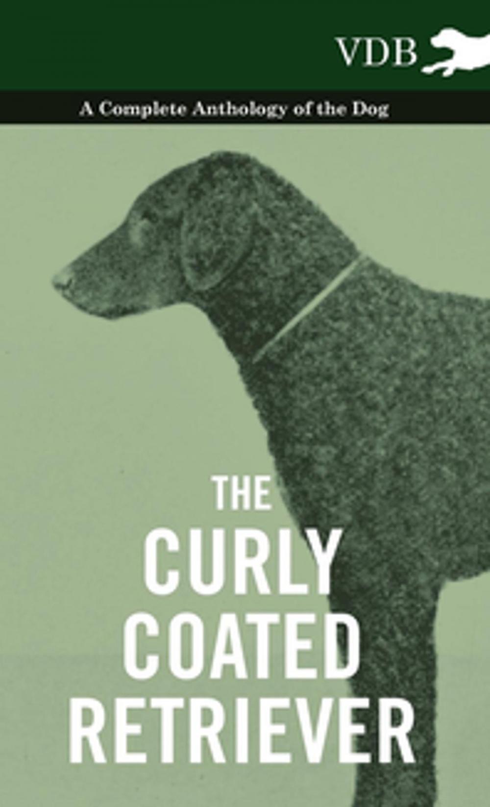 Big bigCover of The Curly Coated Retriever - A Complete Anthology of the Dog -