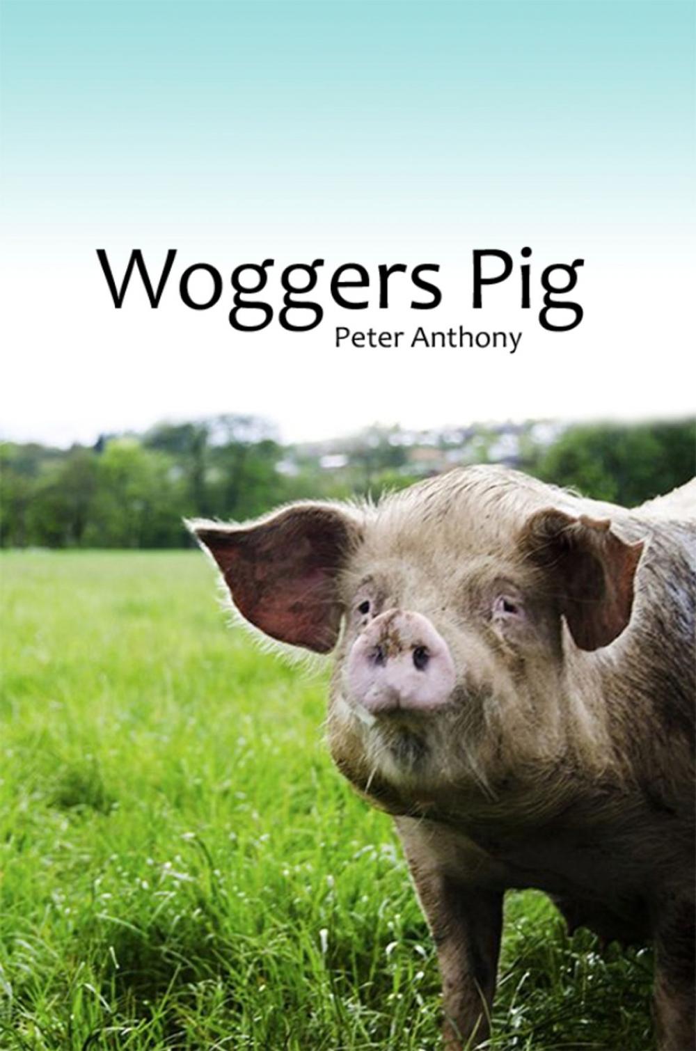 Big bigCover of Woggers Pig