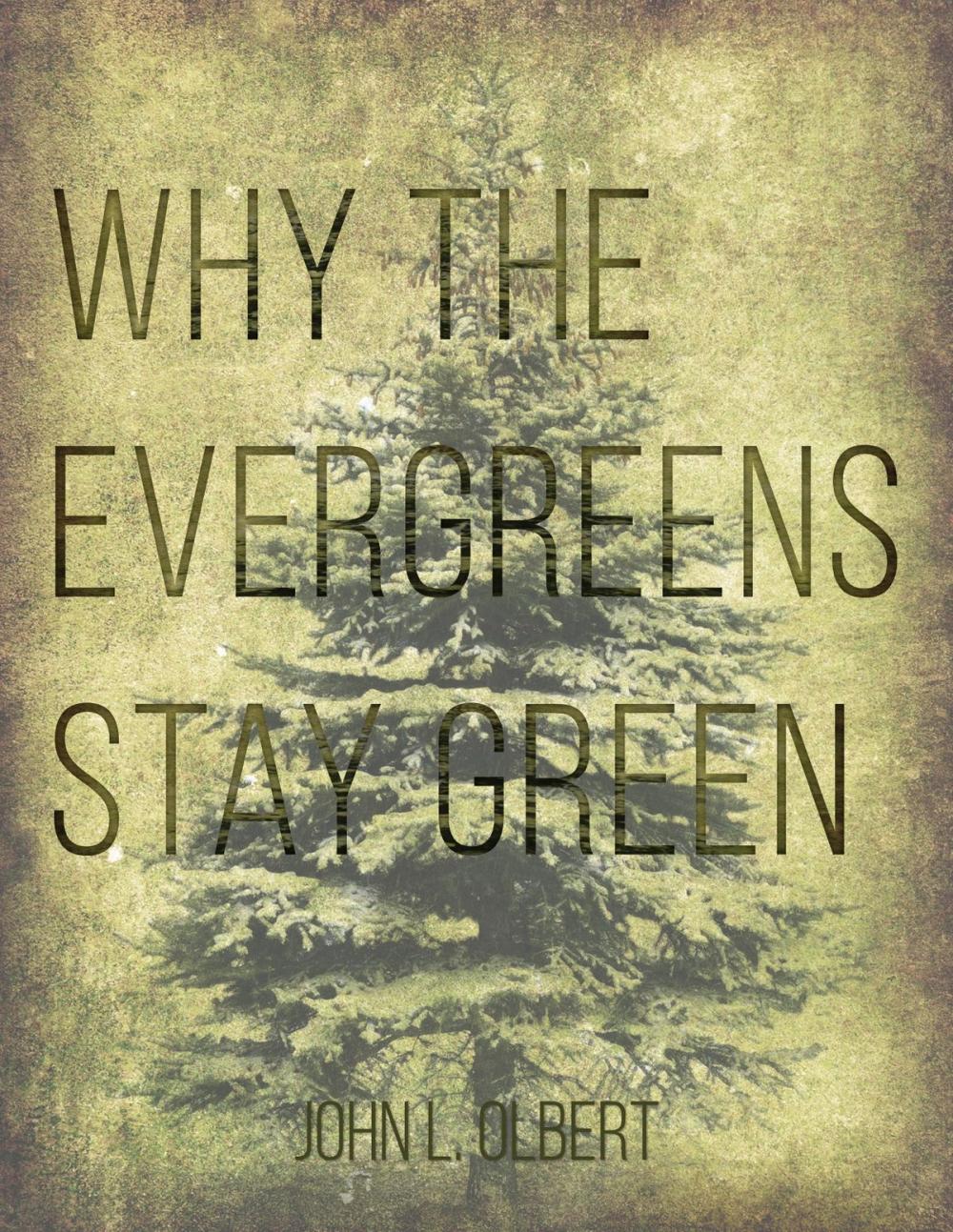 Big bigCover of Why the Evergreens Stay Green