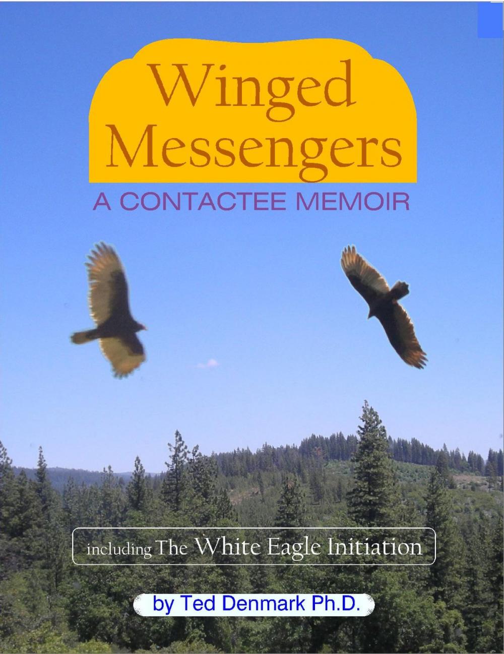 Big bigCover of Winged Messengers