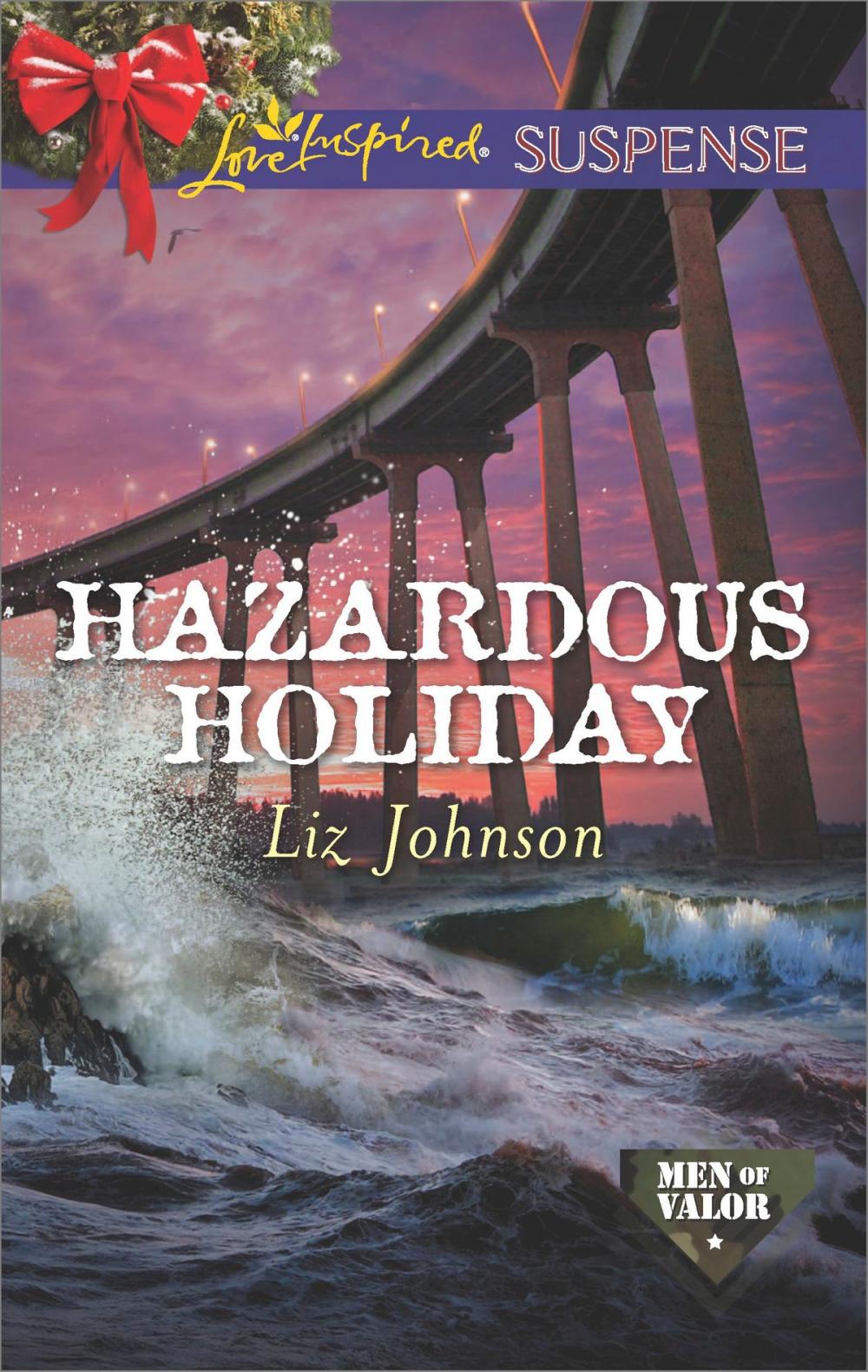 Big bigCover of Hazardous Holiday