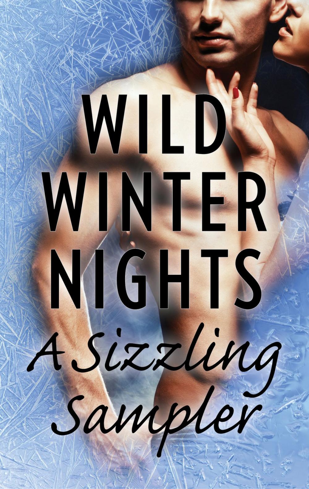 Big bigCover of Wild Winter Nights: A Sizzling Sampler