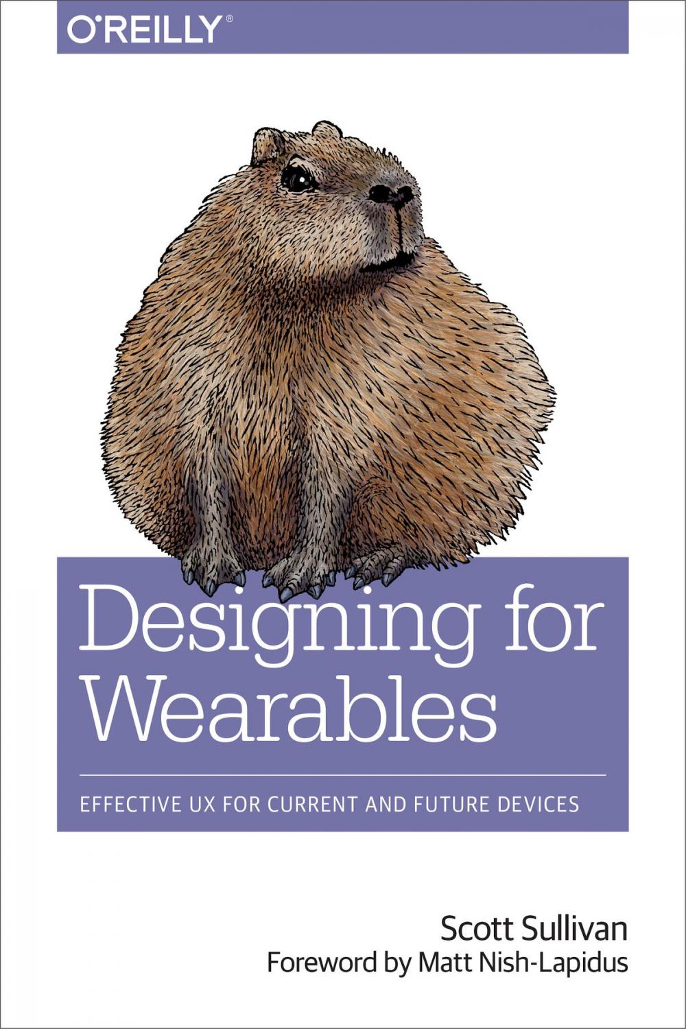 Big bigCover of Designing for Wearables