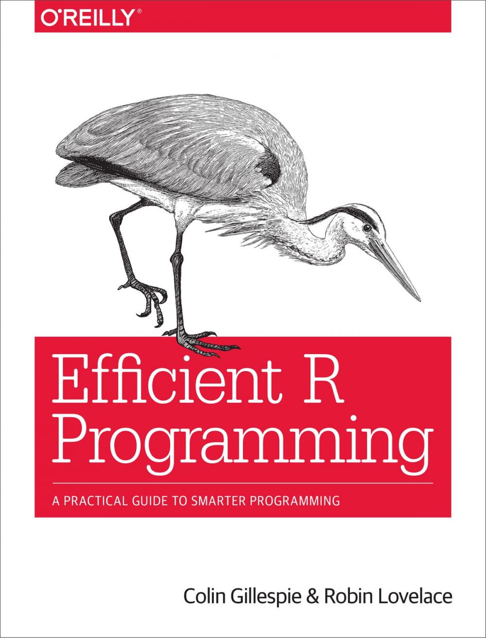 Big bigCover of Efficient R Programming