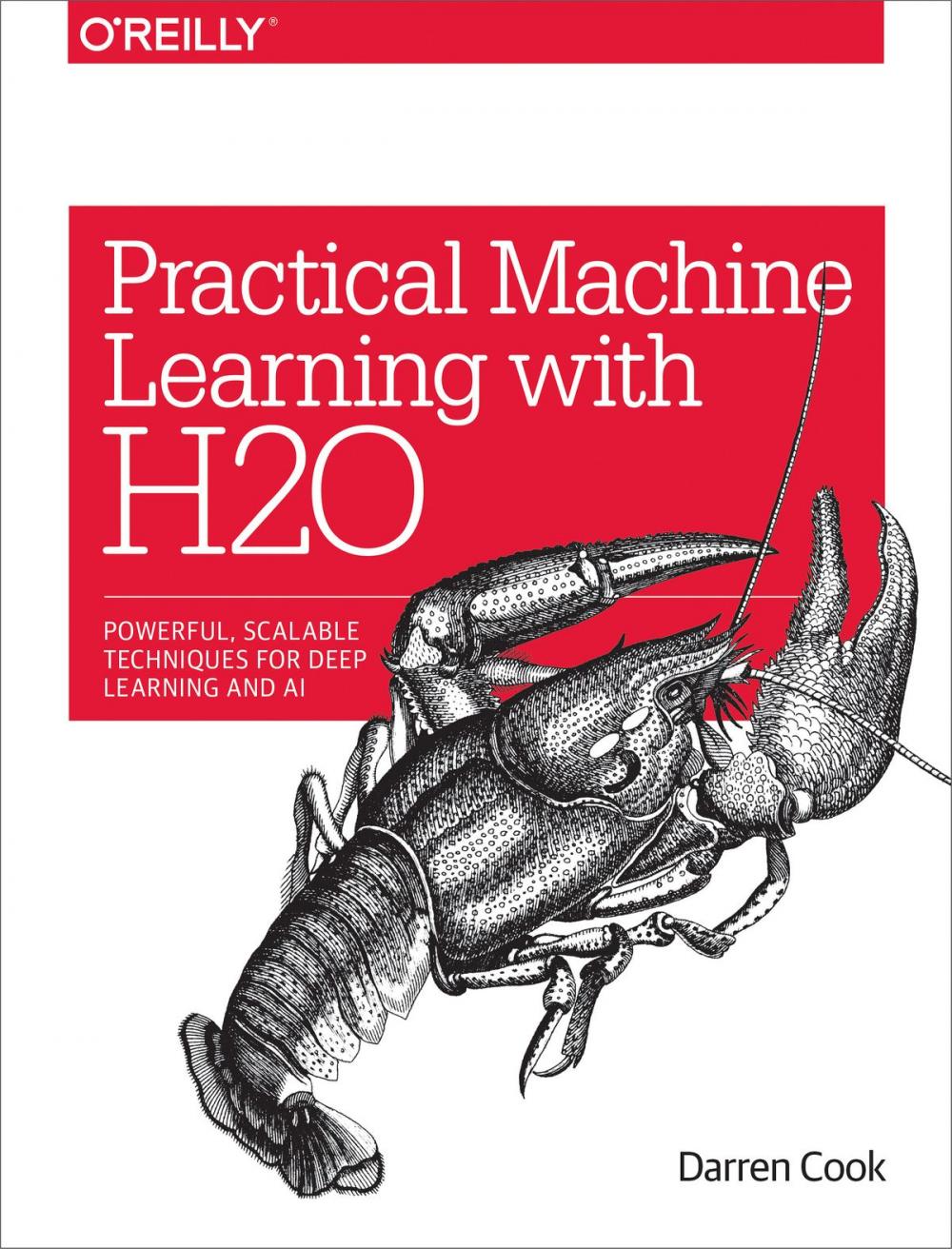 Big bigCover of Practical Machine Learning with H2O