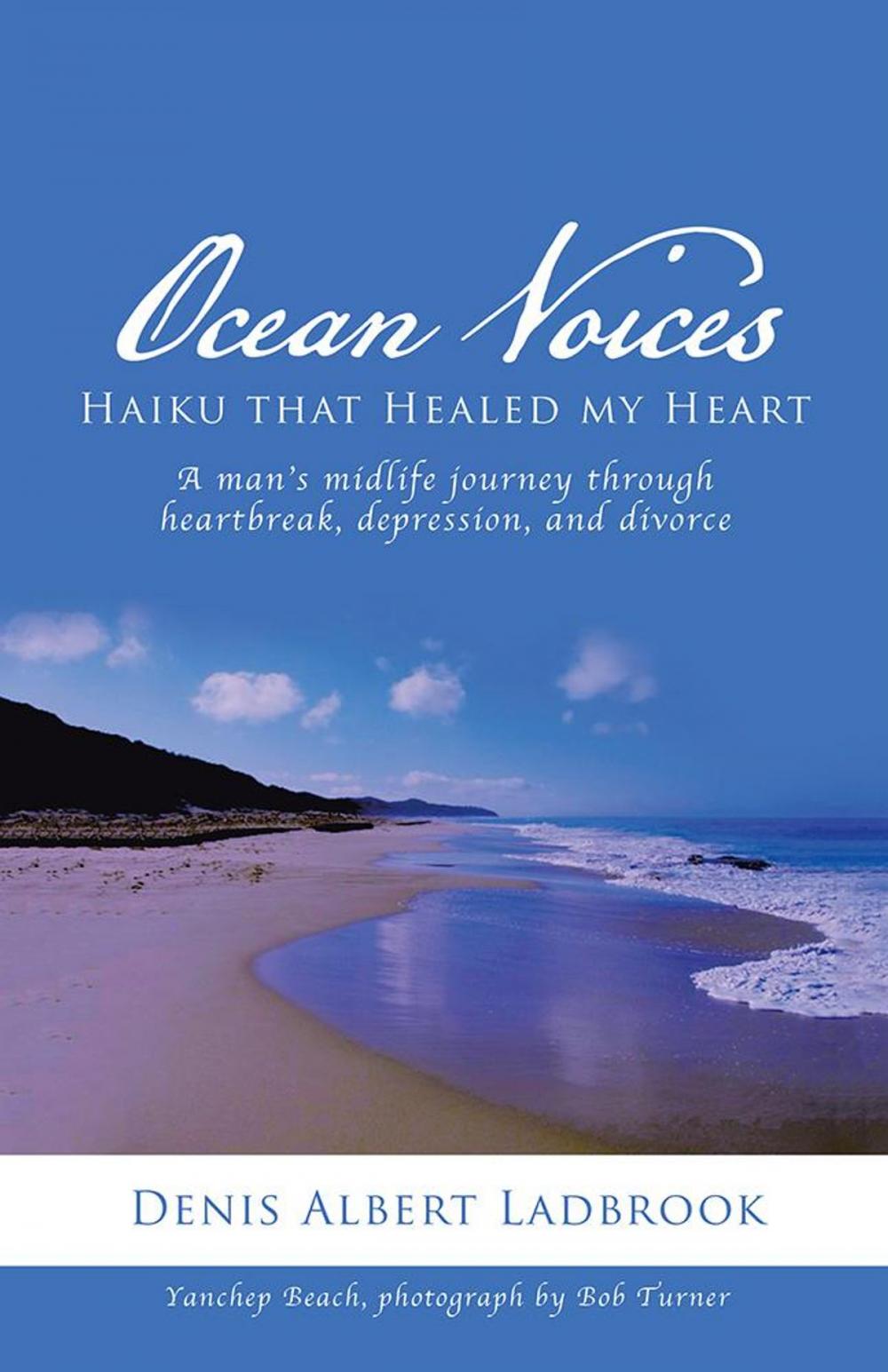 Big bigCover of Ocean Voices