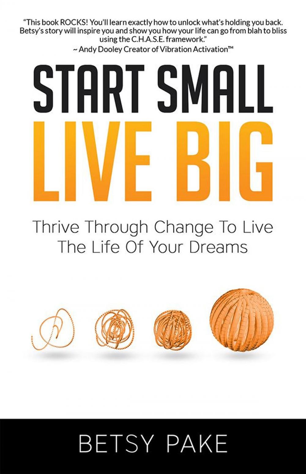 Big bigCover of Start Small Live Big