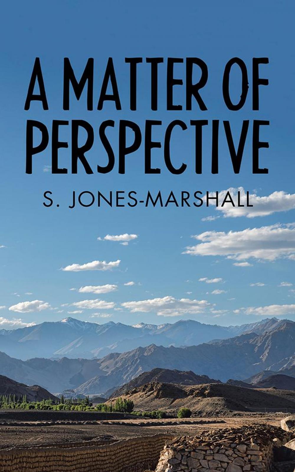 Big bigCover of A Matter of Perspective