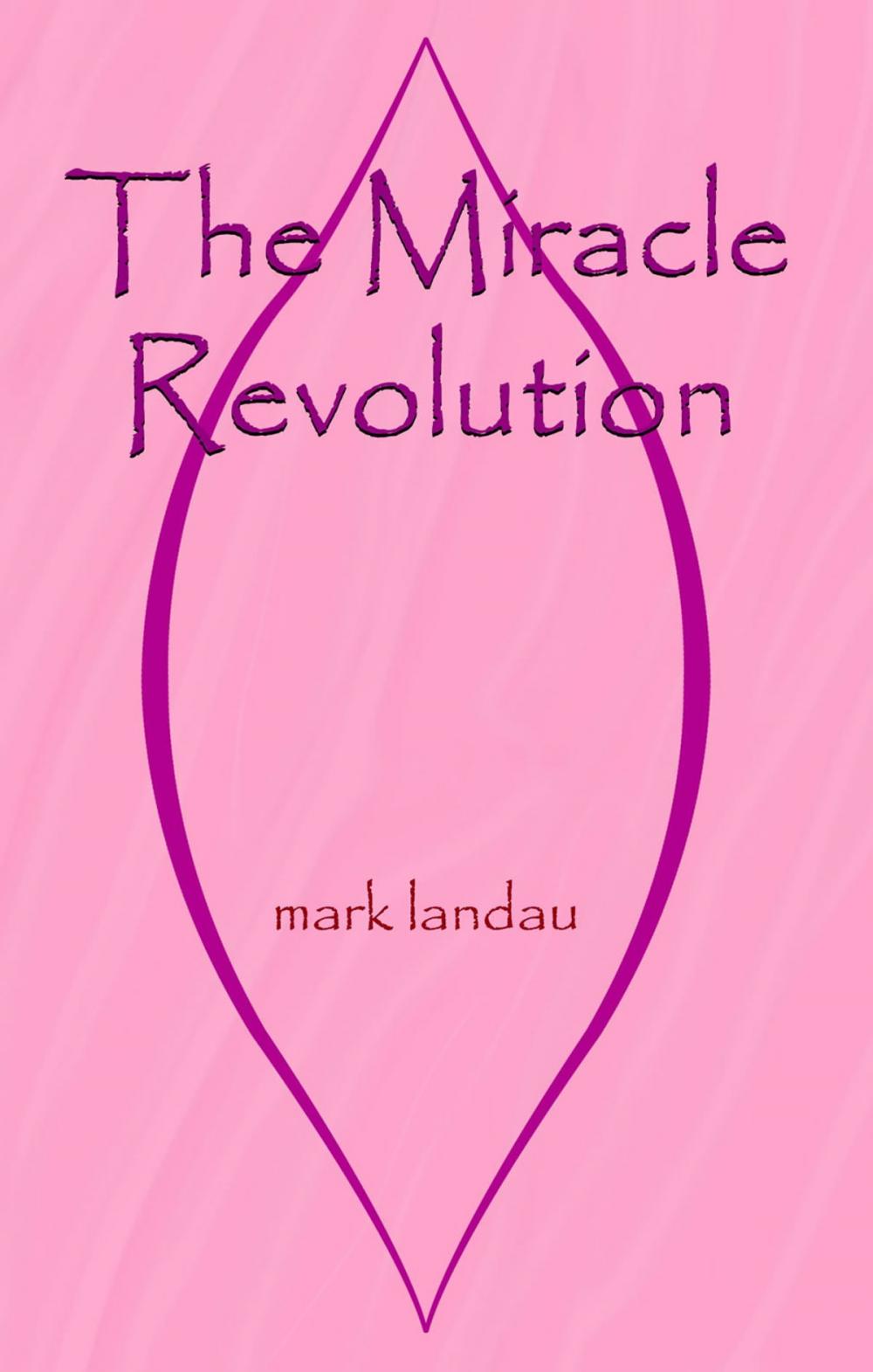 Big bigCover of The Miracle Revolution