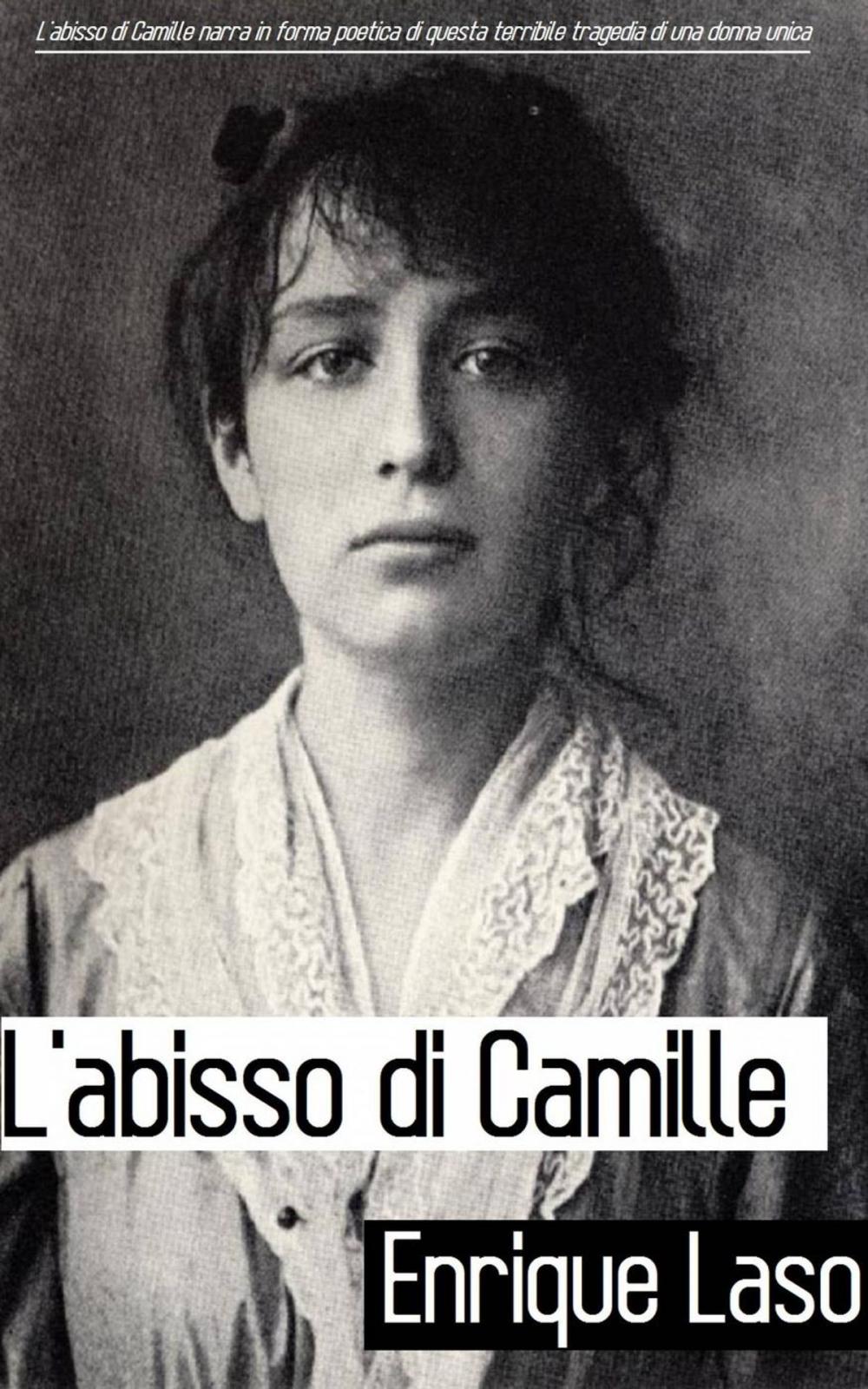 Big bigCover of L'abisso di Camille