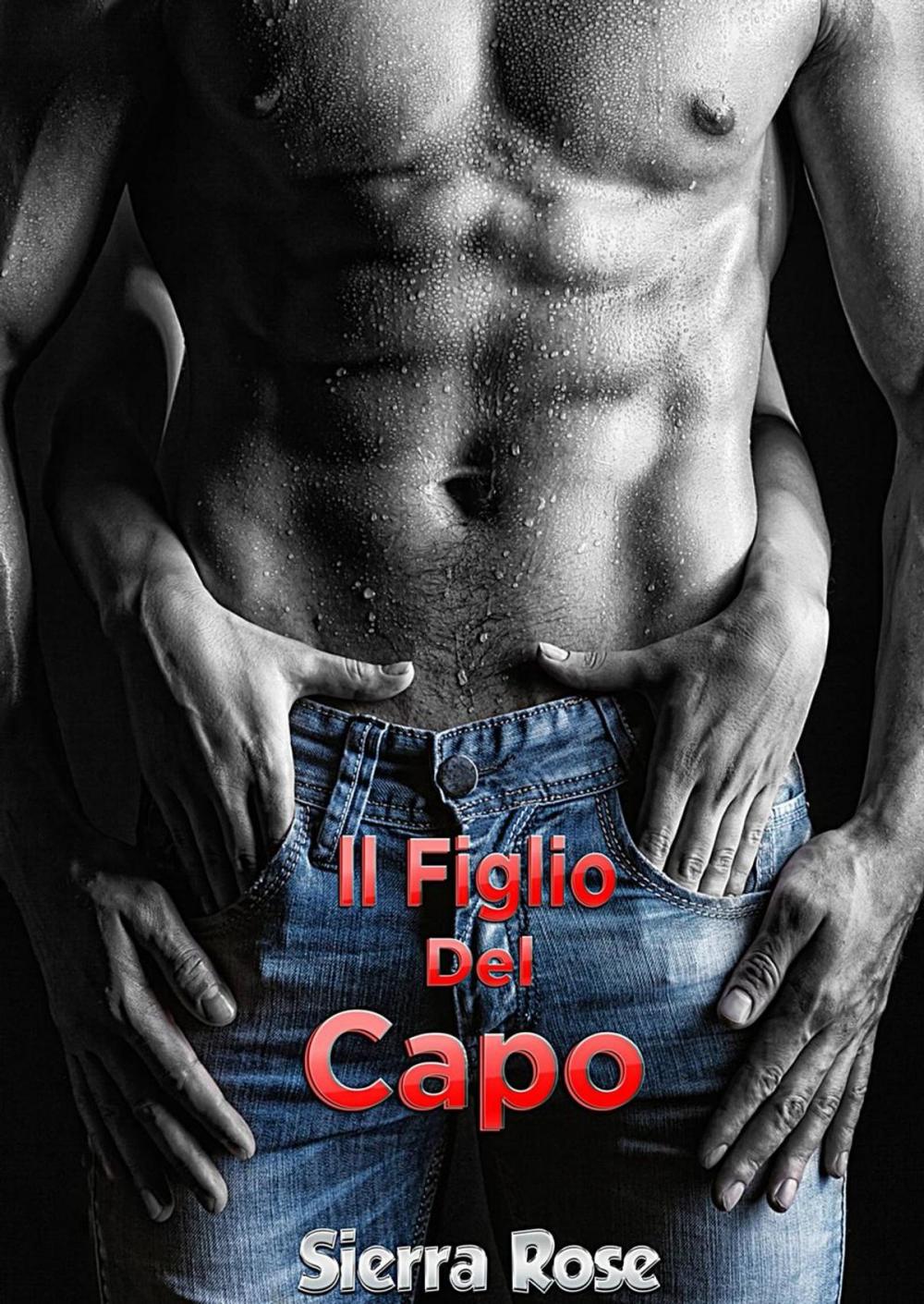 Big bigCover of Il Figlio Del Capo 1