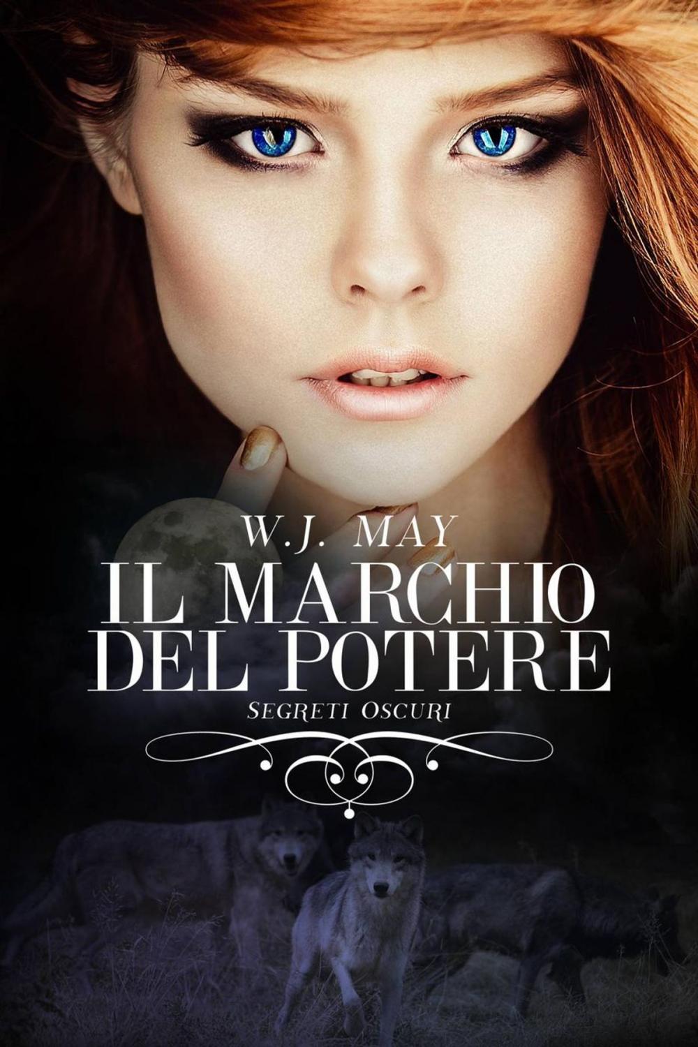 Big bigCover of Il marchio del potere