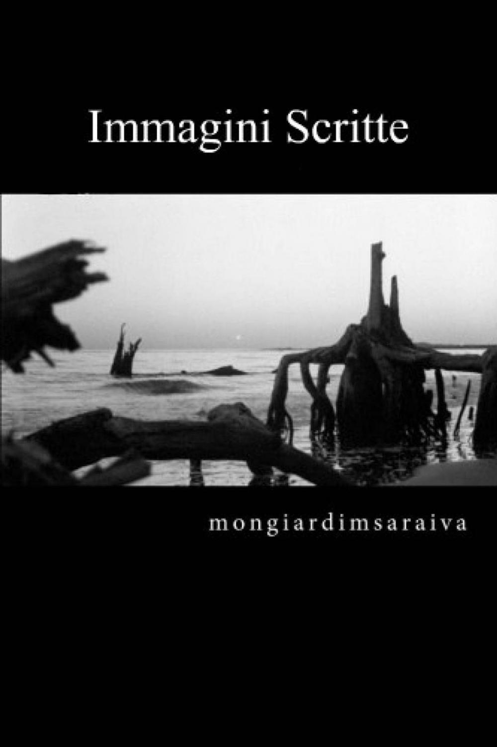 Big bigCover of Immagini Scritte