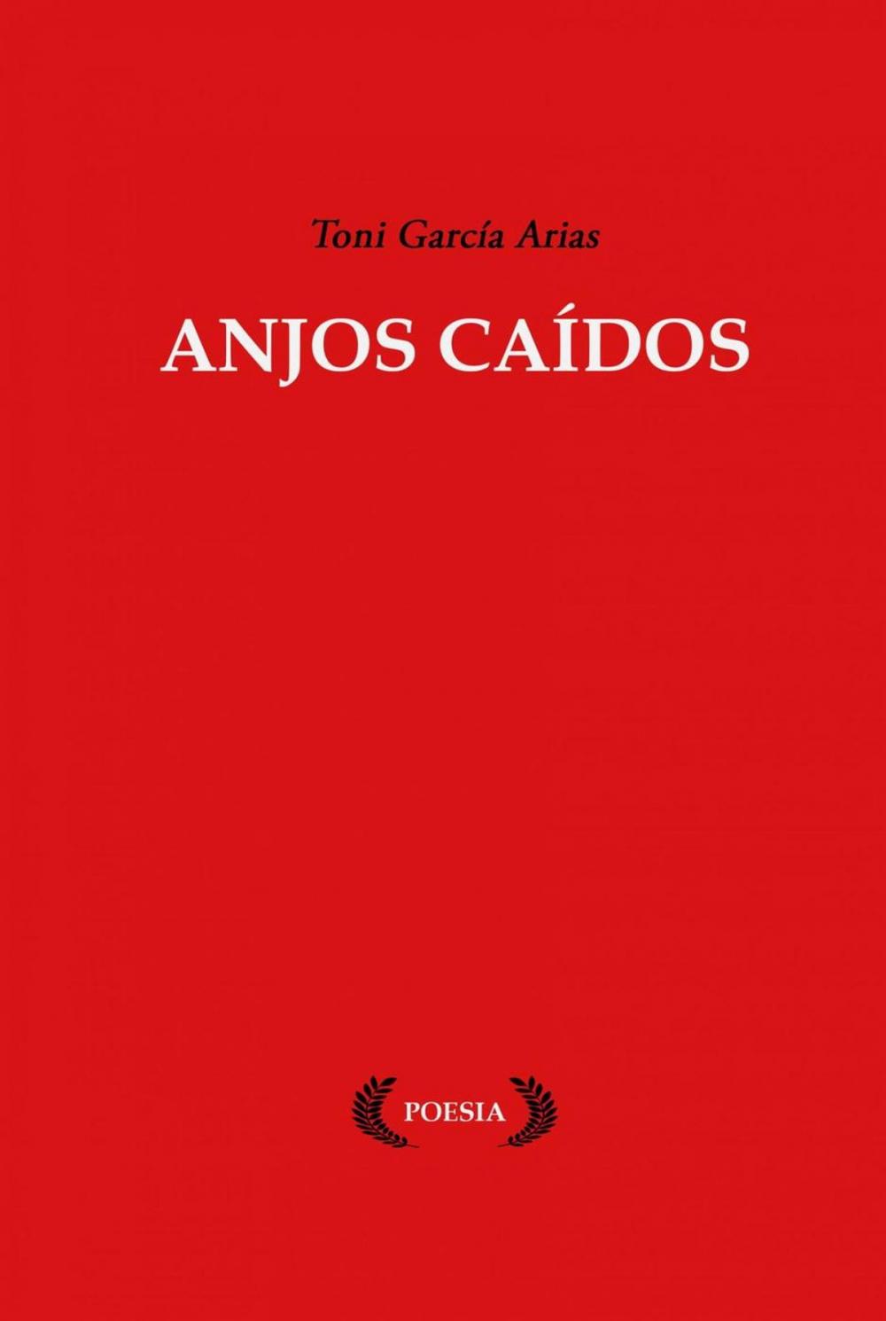 Big bigCover of Anjos Caídos