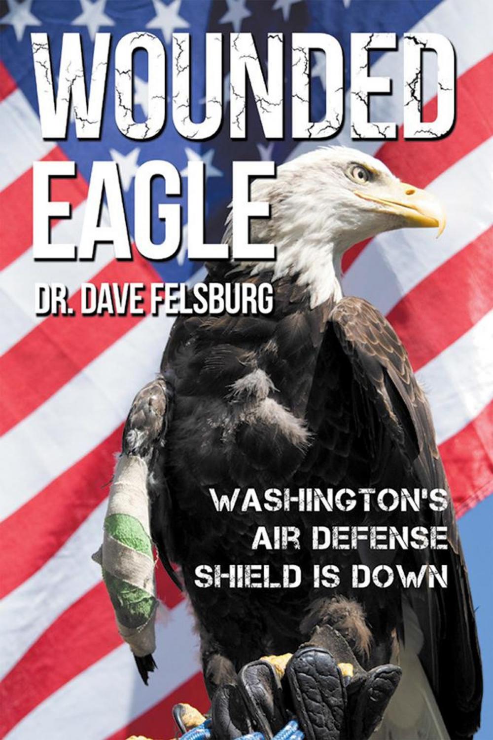 Big bigCover of Wounded Eagle