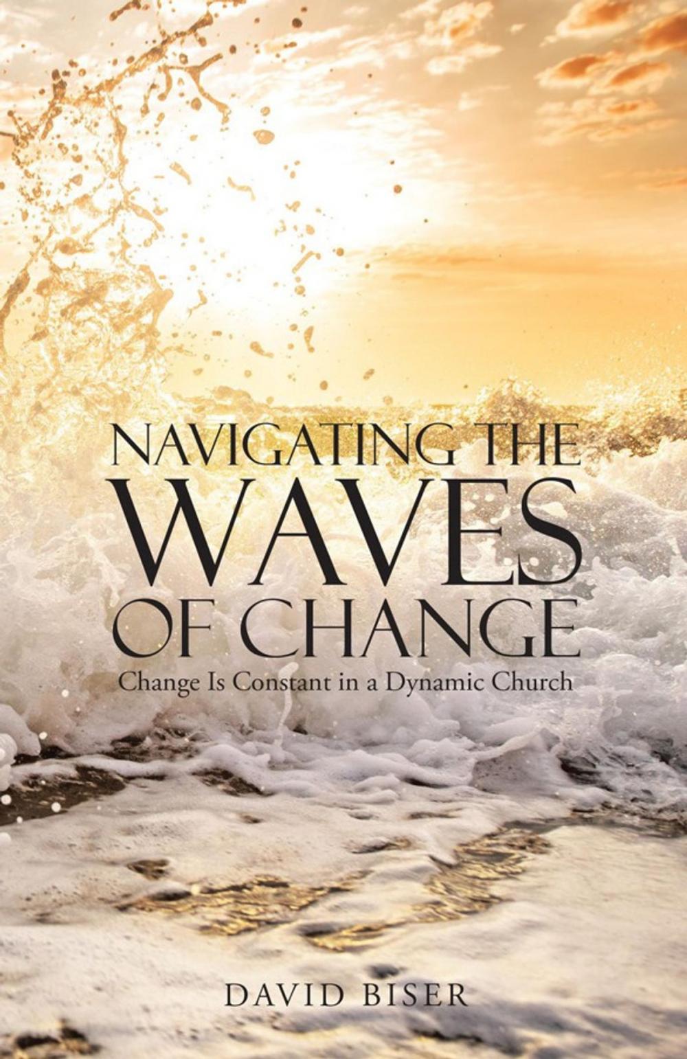 Big bigCover of Navigating the Waves of Change