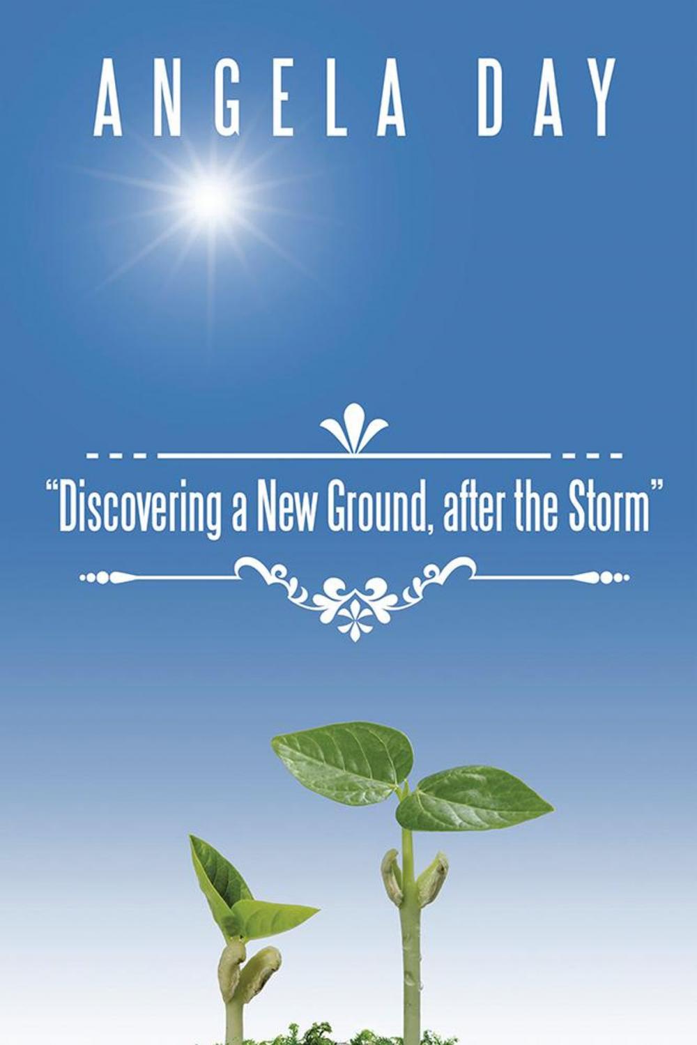 Big bigCover of Discovering a New Ground After the Storm