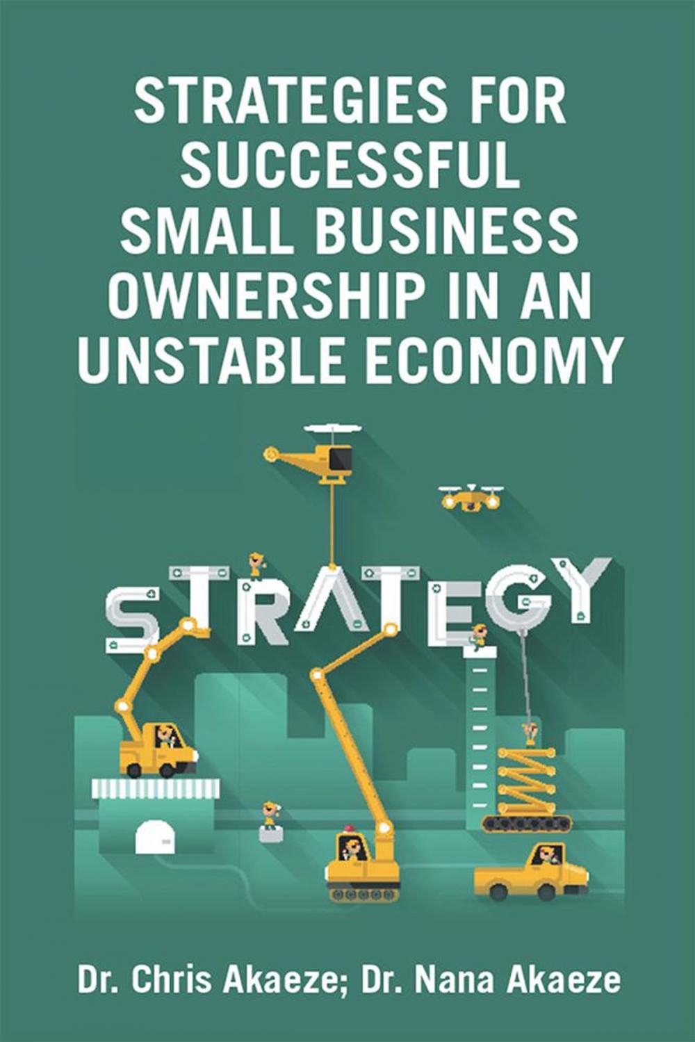 Big bigCover of Strategies for Successful Small Business Ownership in an Unstable Economy