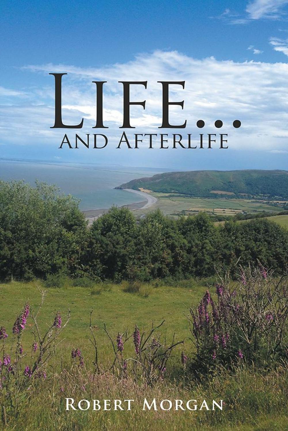 Big bigCover of Life . . . and Afterlife