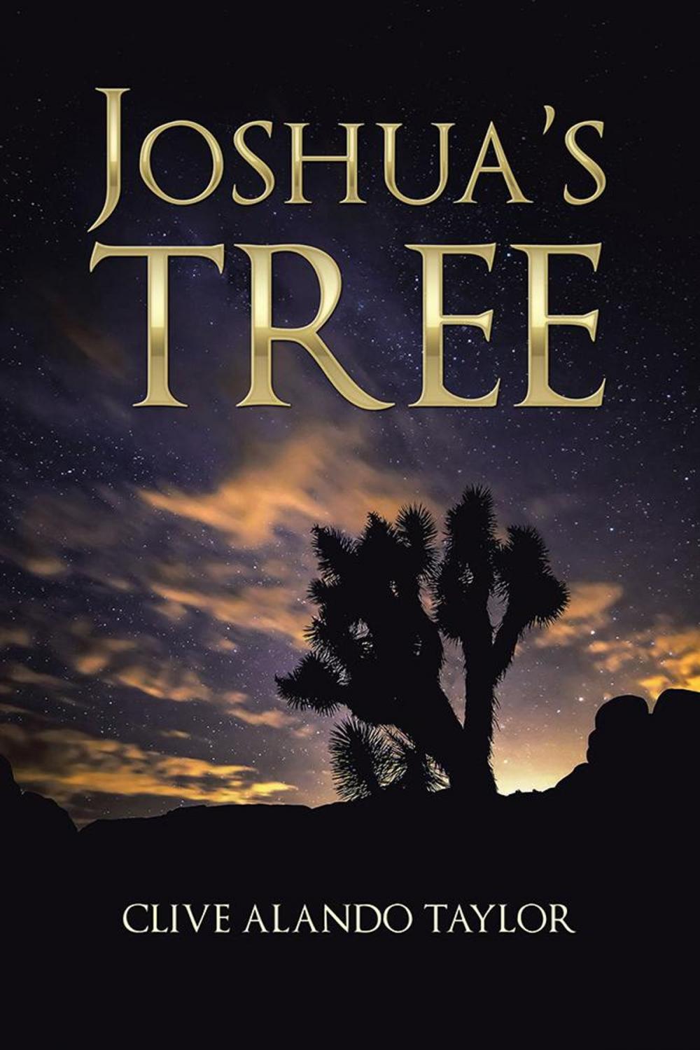 Big bigCover of Joshua’S Tree