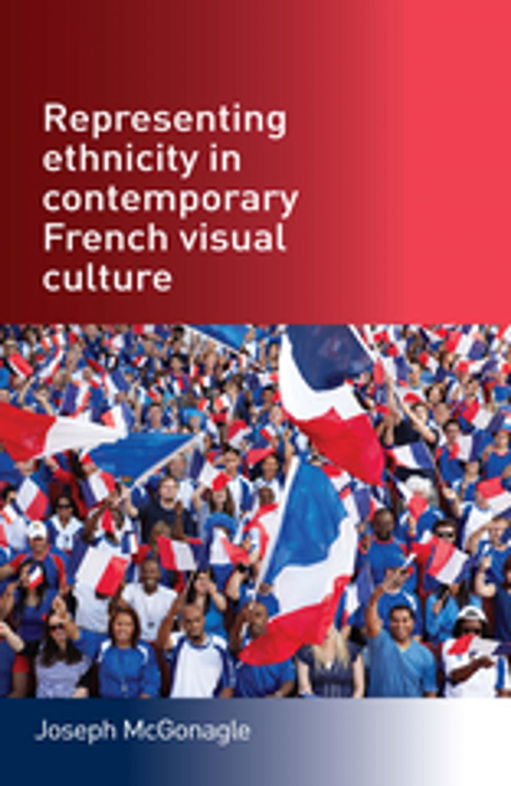 Big bigCover of Representing ethnicity in contemporary French visual culture