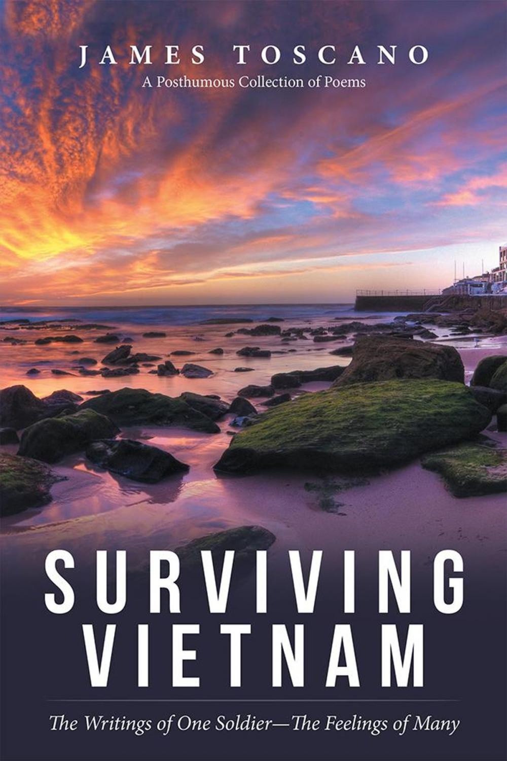 Big bigCover of Surviving Vietnam