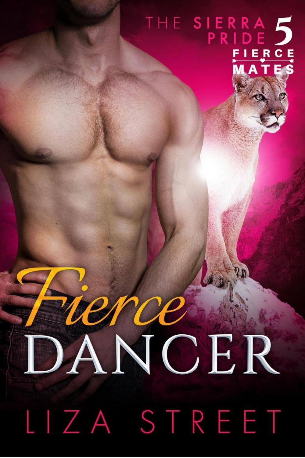 Big bigCover of Fierce Dancer