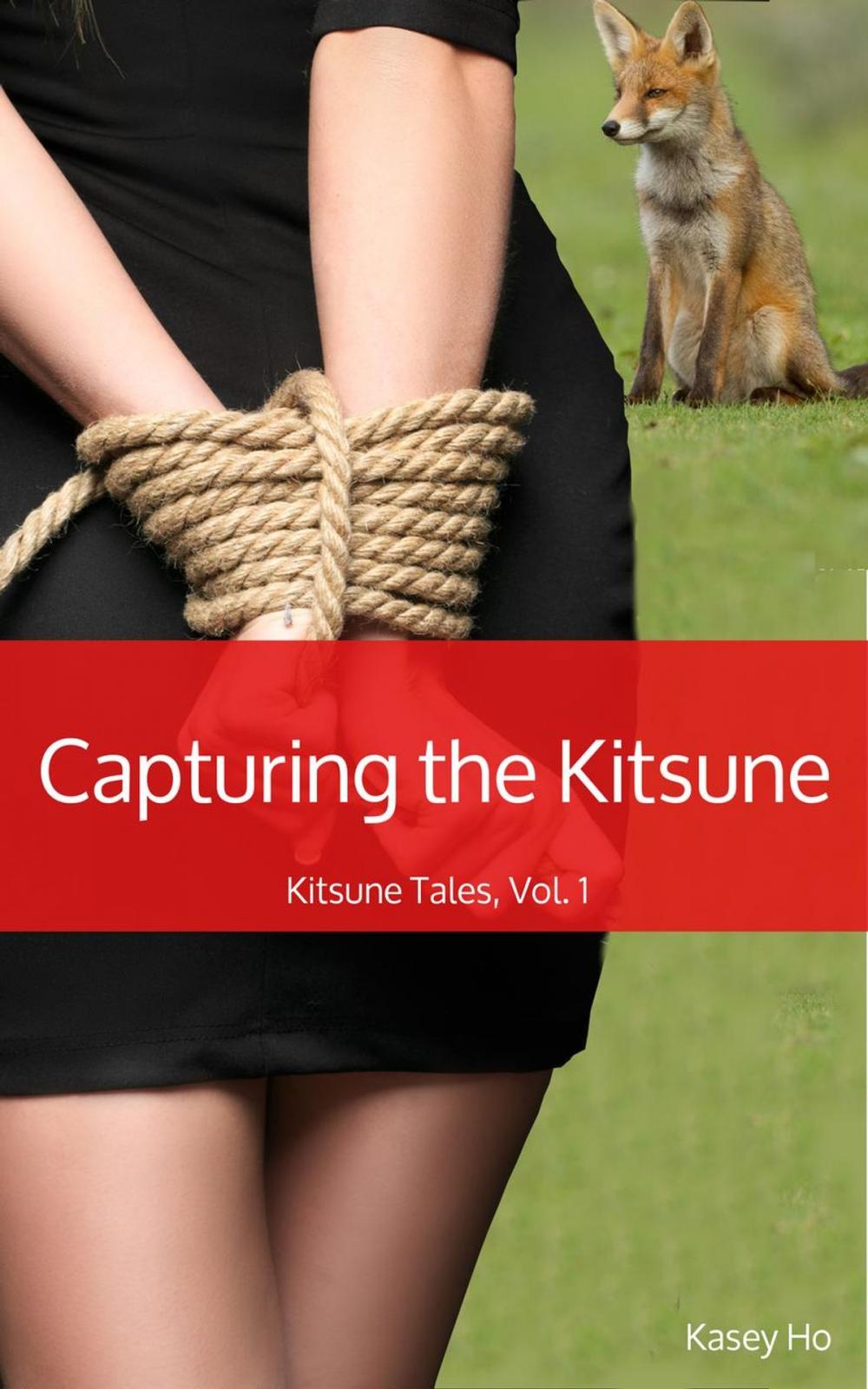 Big bigCover of Capturing the Kitsune