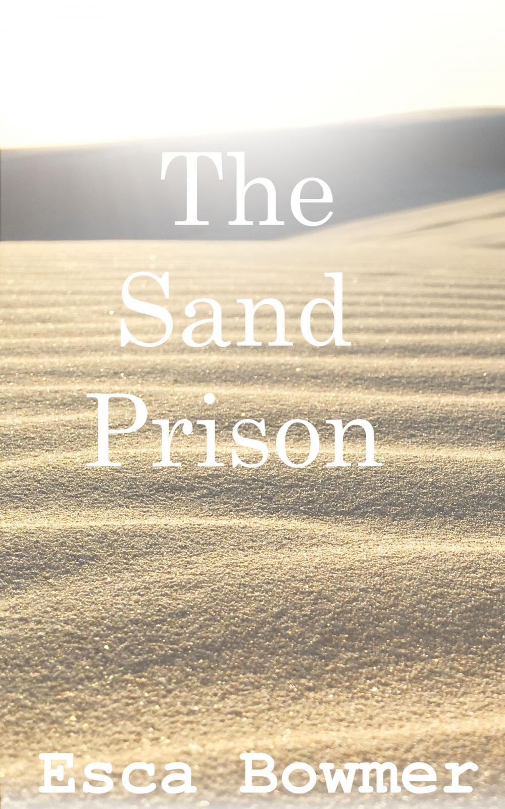 Big bigCover of The Sand Prison