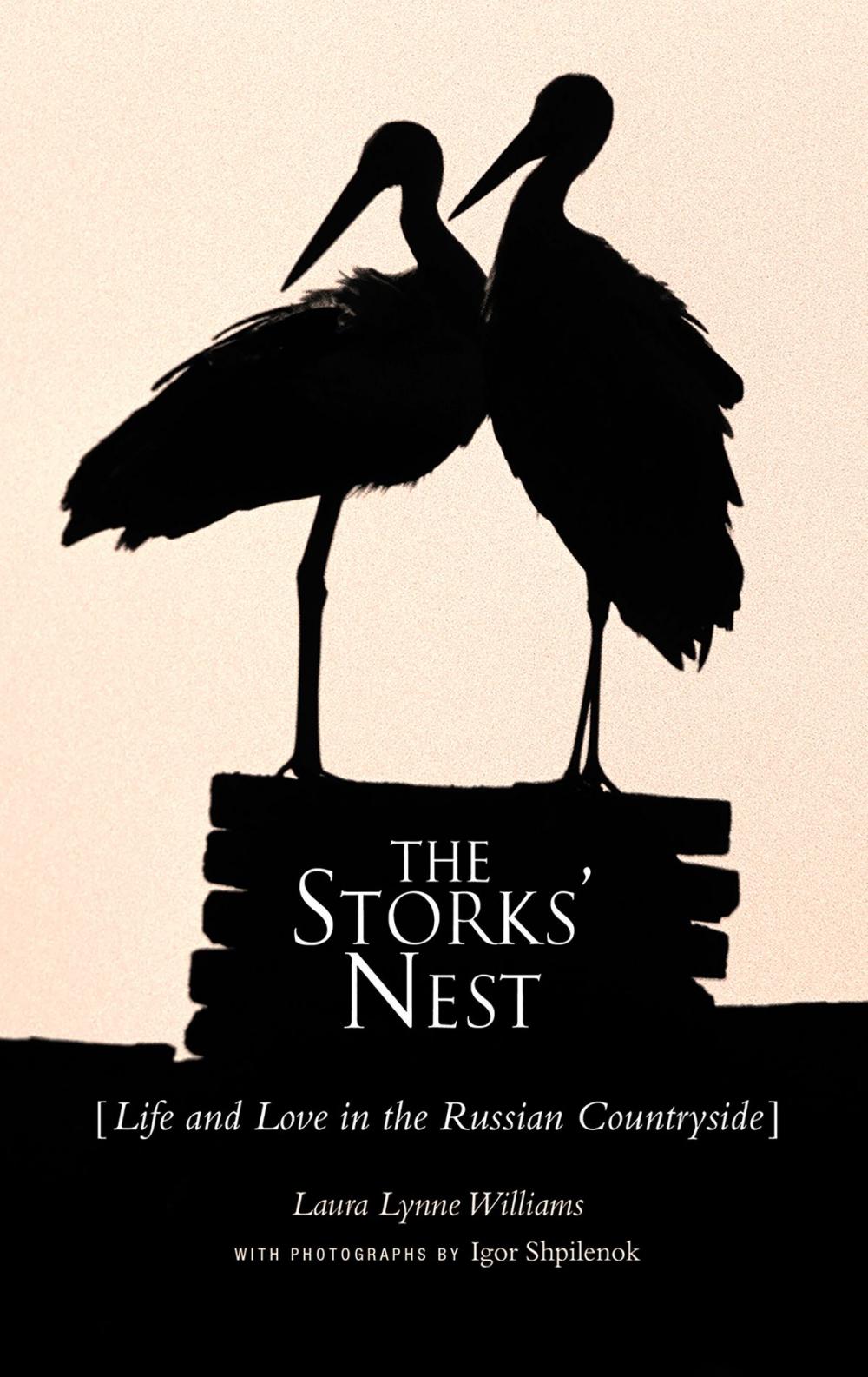 Big bigCover of The Storks' Nest
